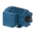 Explosion Proof Motor